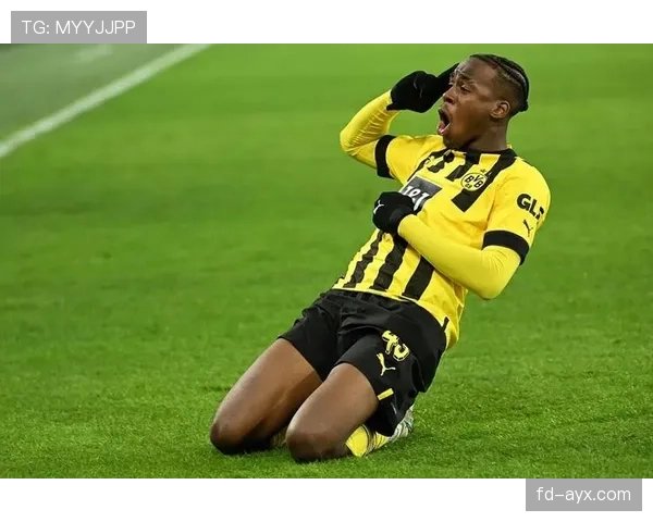 德甲夏季转会窗口开启 各队引援争夺加速联赛整体实力有望提升