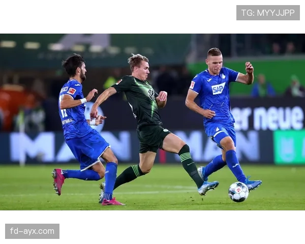 霍芬海姆重拾青训战略，年轻力量成未来建队核心