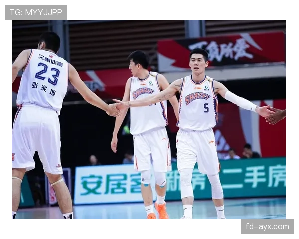 达姆斯高新赛季进攻爆发，助球队强势冲击冠军