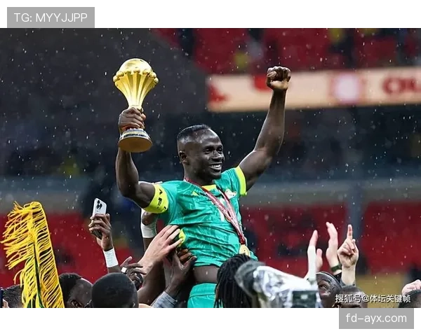 非洲杯金球奖得主揭晓，非洲足球新传奇的竞争力增强分析